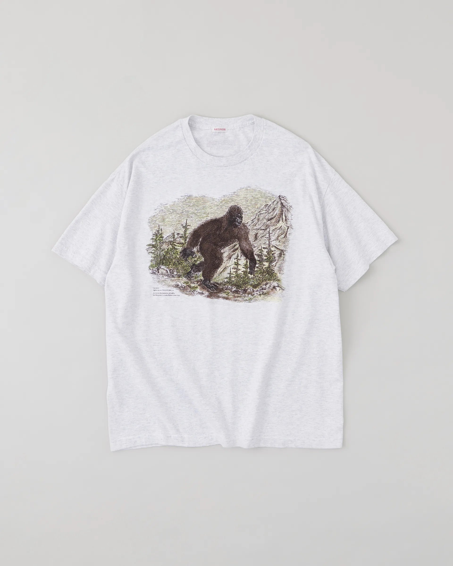 NICENESS 25AW G.BERNARD / UMA Print Tee Shirt